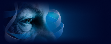 HCP evaluating eye-condition treatment options