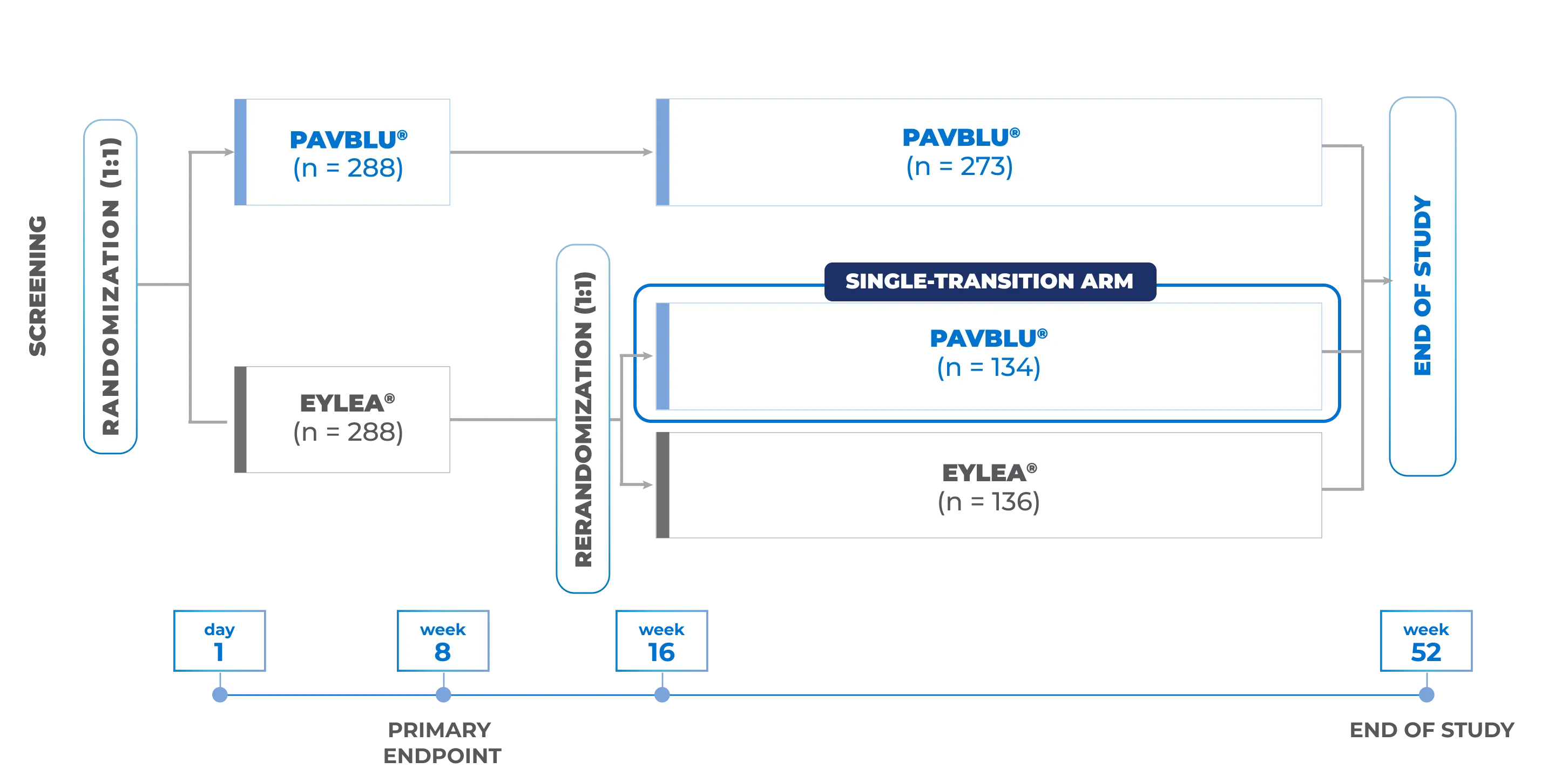 study design in clinical trial of patients treated with PAVBLU™ or Eylea®